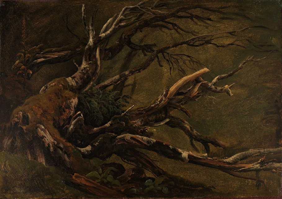 Thomas Fearnley - Study of decaying Tree