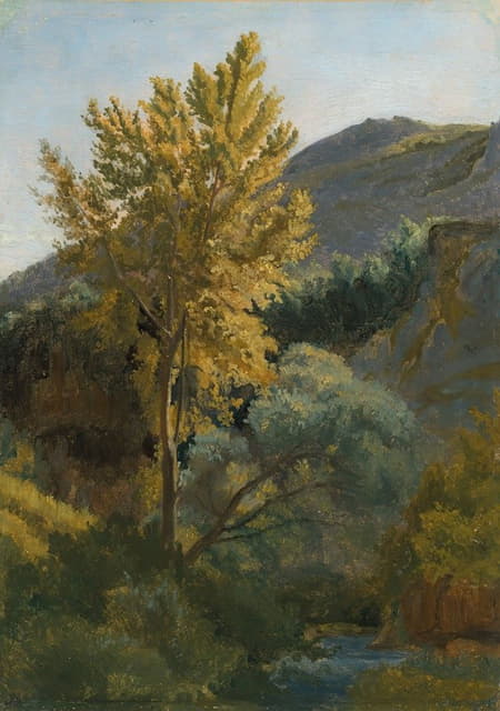 Jean-Baptiste-Camille Corot - Etude d’arbre près d’un torrent en Italie