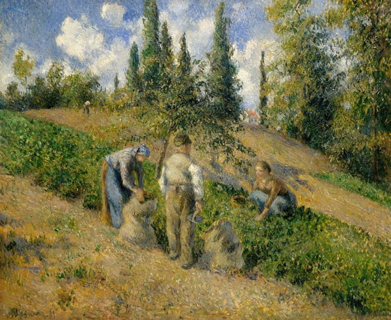 Camille Pissarro - The Harvest, Pontoise (La Récolte, Pontoise)