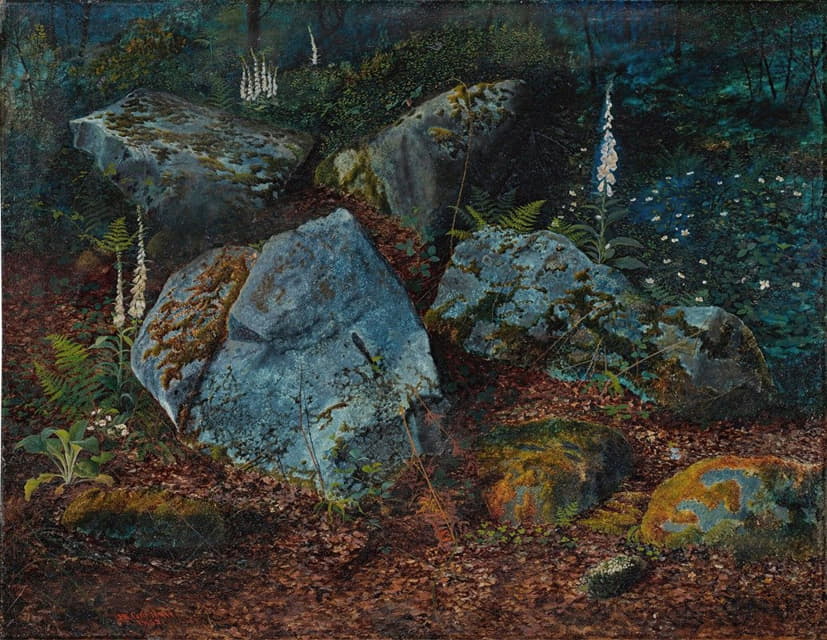 斯托斯福德森林中的巨石