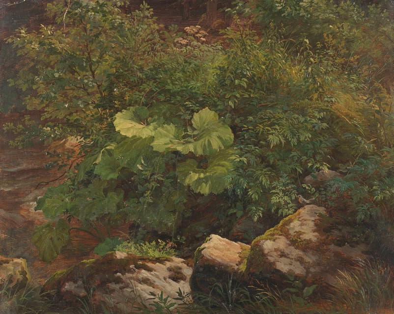 Gustav Friedrich Papperitz - Pflanzenstudie