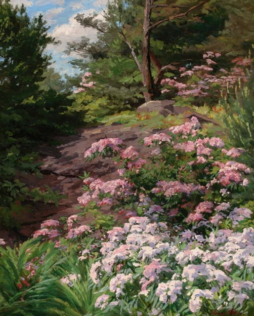 Thomas Allen, Jr. - Pink and White Rhododendron in a Forest