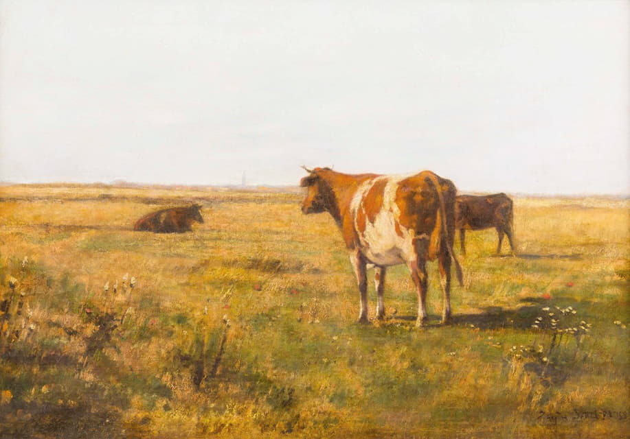 夏季牧场上的牛