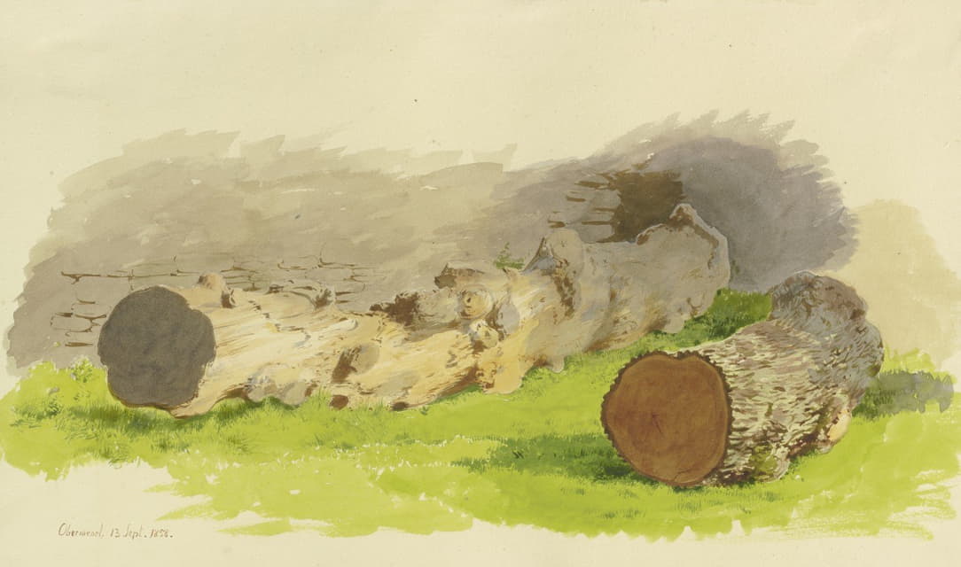 1858年9月13日，奥伯维塞尔一堵墙前锯下的树干