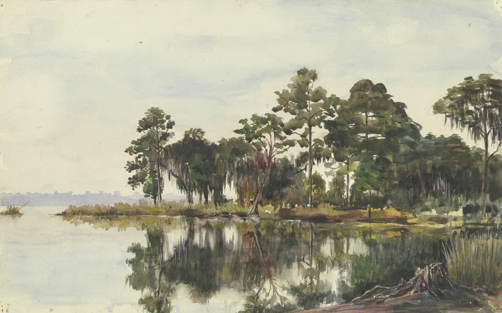 树木对水的影响，杰克逊维尔，1904年11月29日