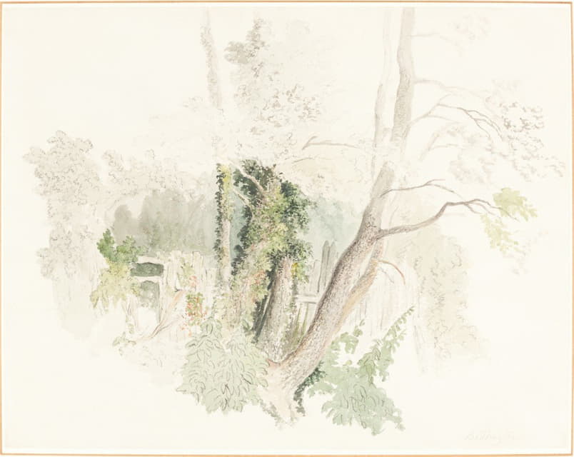 Robert Hills - Trees at Beddington