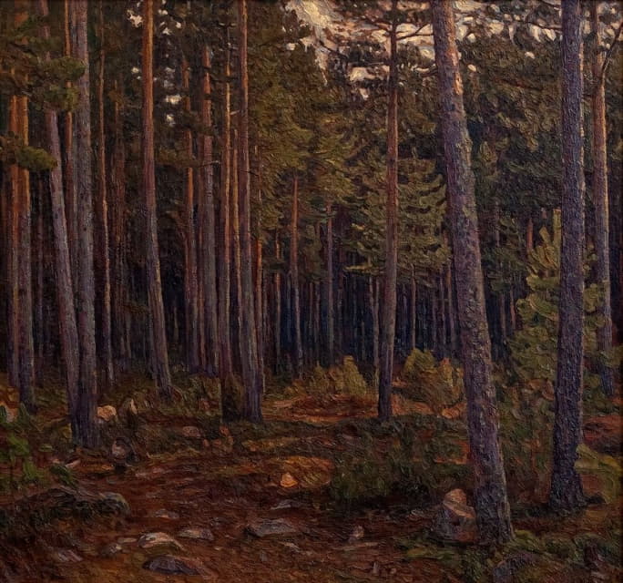Herman Norrman - Interior of a Coniferous Forest