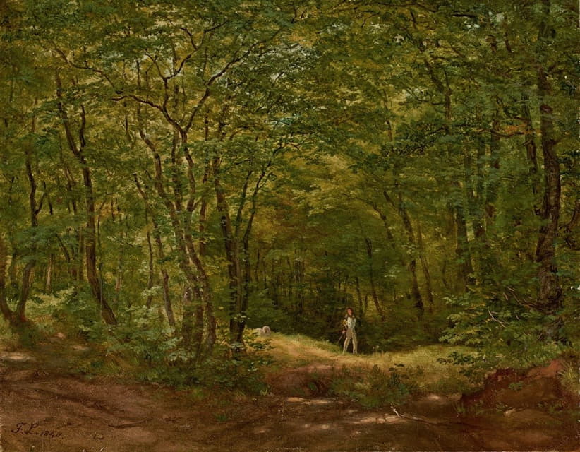 森林景观中的步行者