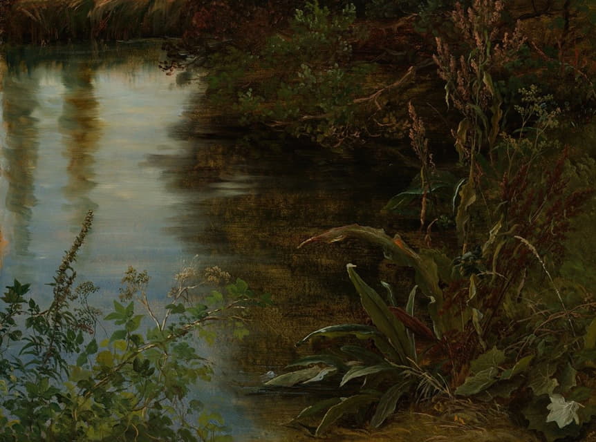 Thomas Fearnley - Study of Water and Plants