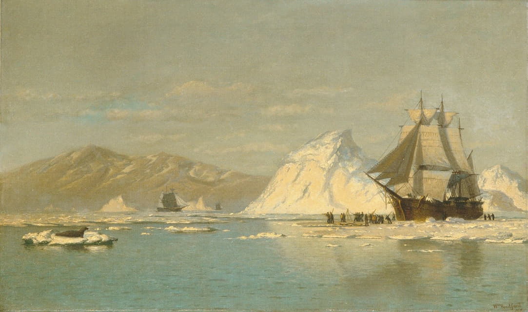 格陵兰岛外捕鲸船寻找开阔水域
