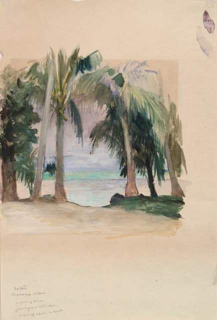 海边的棕榈树