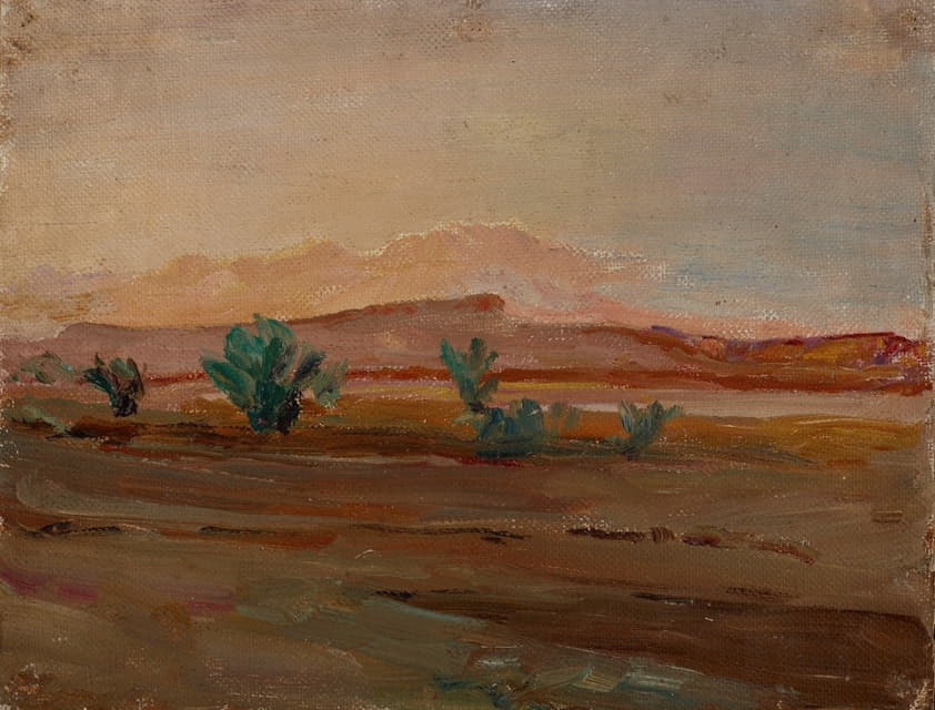 Jan Ciągliński - Sahara (Desert after a Rain)