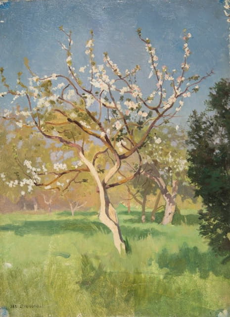 Jan Stanislawski - Apple-Tree in Blossom