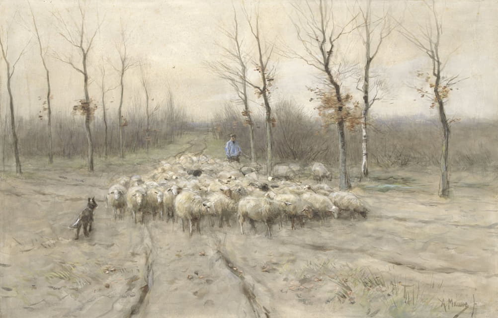 羊在拉伦附近的荒原上放牧