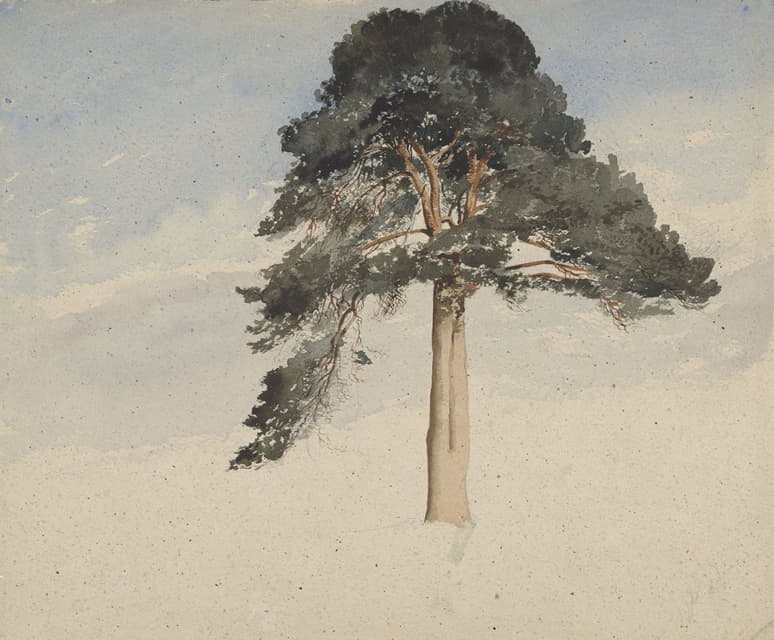 William Leighton Leitch - Scottish Pine Tree