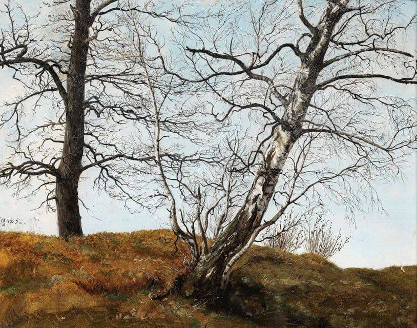 Carl Julius von Leypold - Oak and Birch