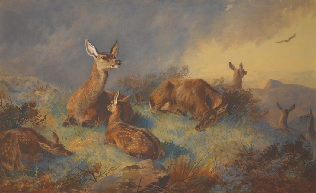 Archibald Thorburn - The Watchful Hinds