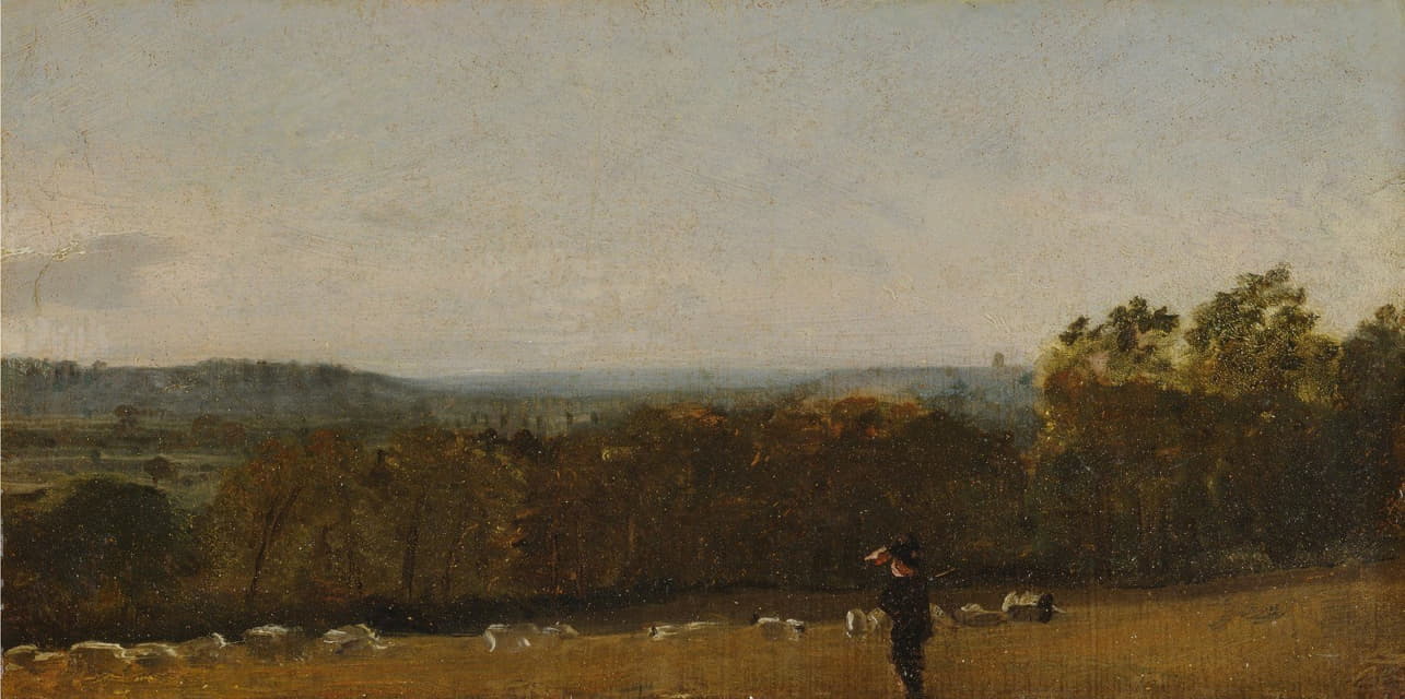 一个牧羊人在一片风景中望着德德姆谷对面的兰厄姆