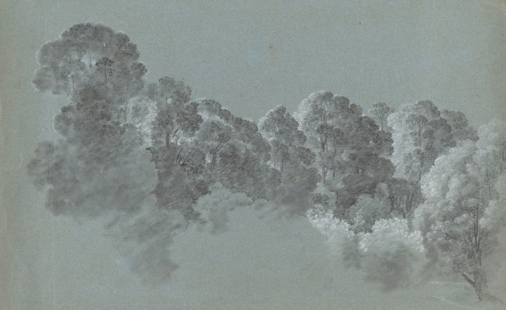 Heinrich Rieter - Forest Treetops Struck by Light