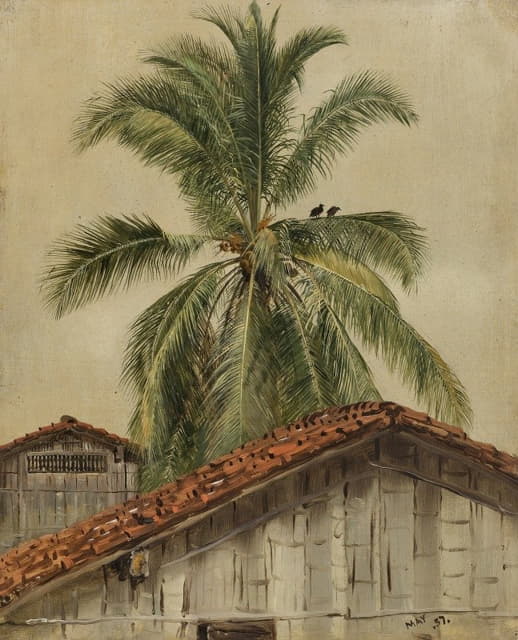 棕榈树和屋顶，厄瓜多尔