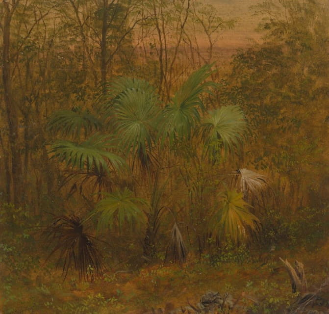 Frederic Edwin Church - Thatch Palm, Jamaica