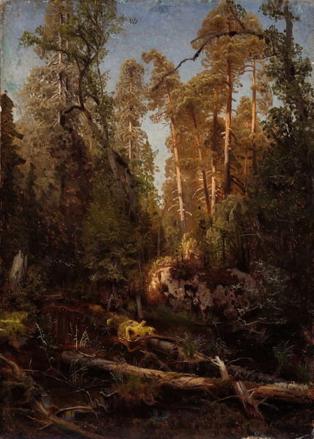 August Cappelen - Forest Study