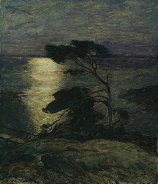 月光下海岸上的松树