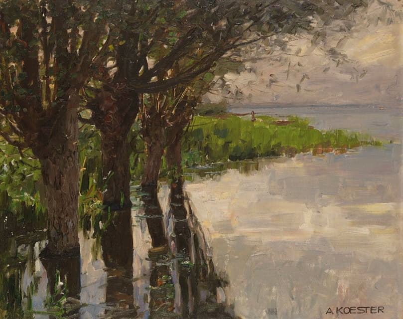 莱切诺，湖边的柳树，阳光
