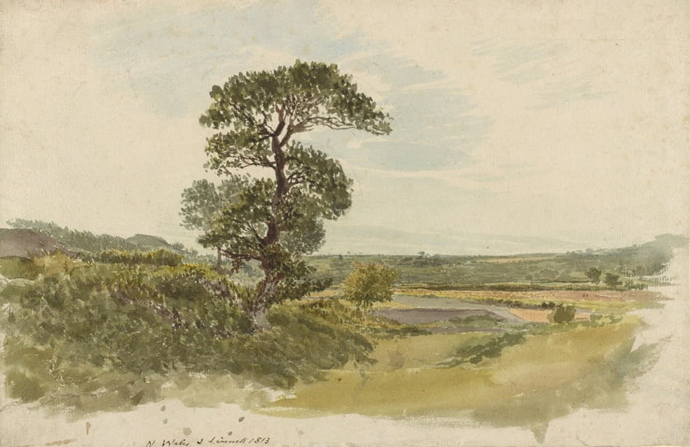 斯诺多尼亚的一幅风景画，前景是一棵树