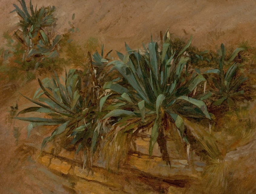 Thomas Hiram Hotchkiss - Study of Plants on a Rocky Wall
