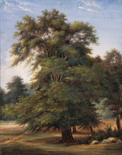 Jean-Victor Bertin - Study of a Tree
