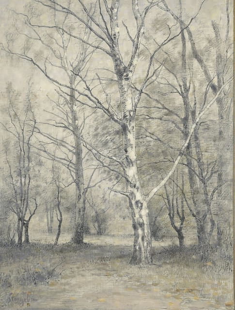Alphonse Stengelin - Bos met berkebomen
