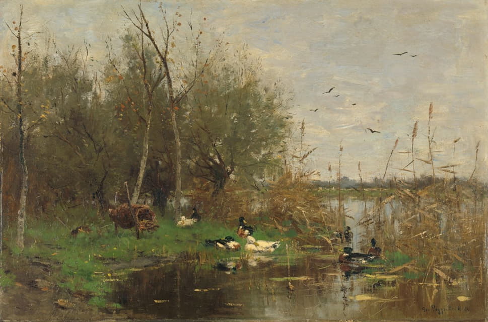 Geo Poggenbeek - Ducks beside a duck shelter on a ditch