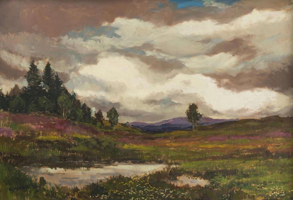 Gustav Macoun - A Landscape with Heathland