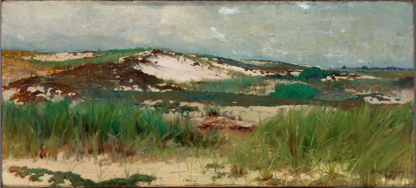 C. Morgan McIlhenney - Nantucket Sand Dune