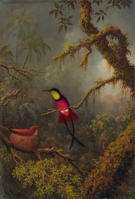 一对筑巢的深红色黄玉蜂鸟