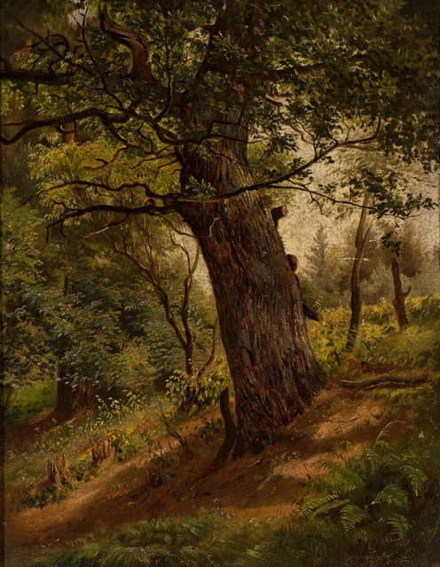 Wilhelm Peter Bayer - Study of a tree