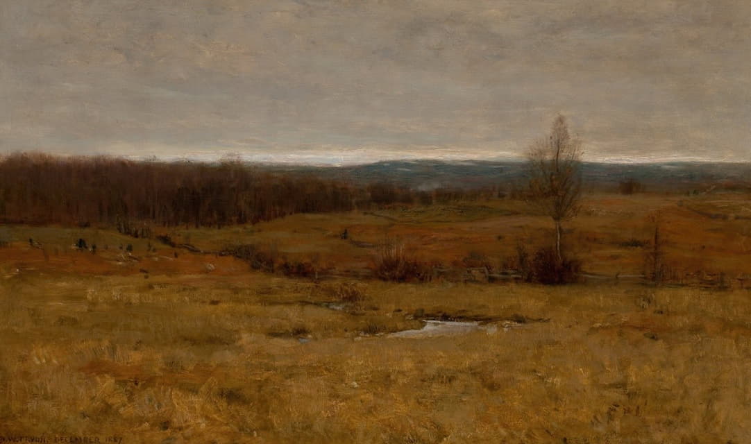 Dwight W. Tryon - Landscape, December 1887