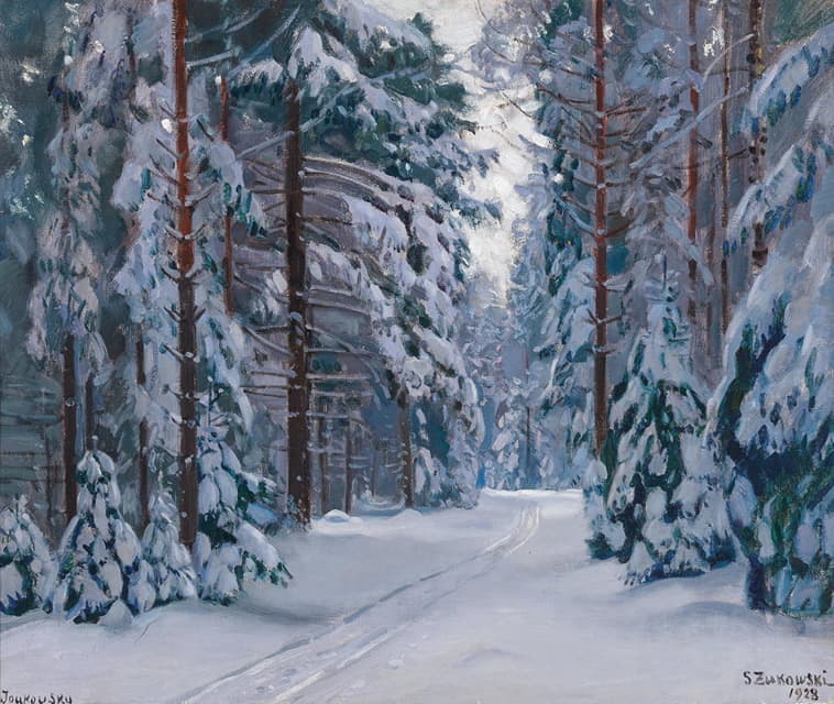 森林中的雪路