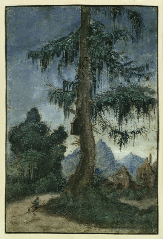 Albrecht Altdorfer - Landscape with spruce