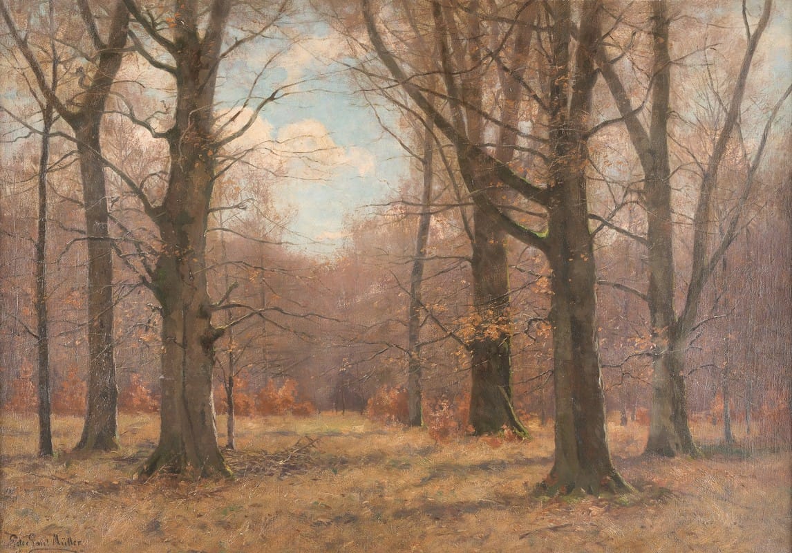 Peter Paul Müller - Late fall in the beech forest