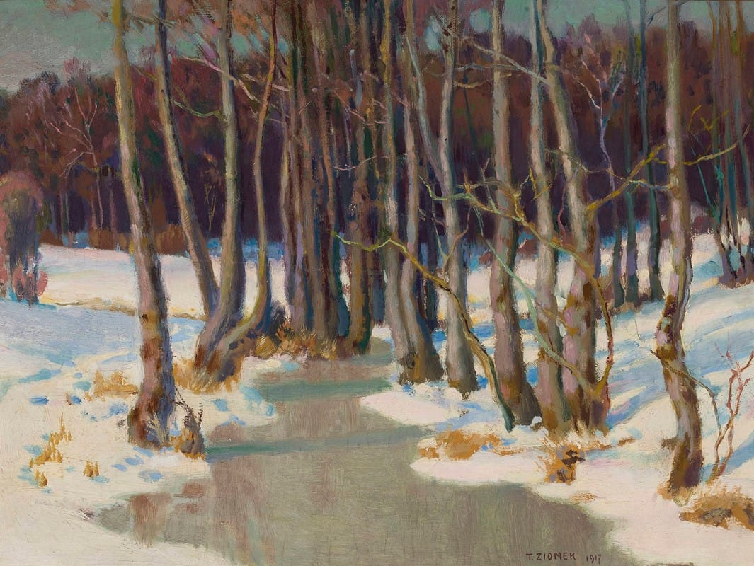 Teodor Ziomek - Forest stream in winter
