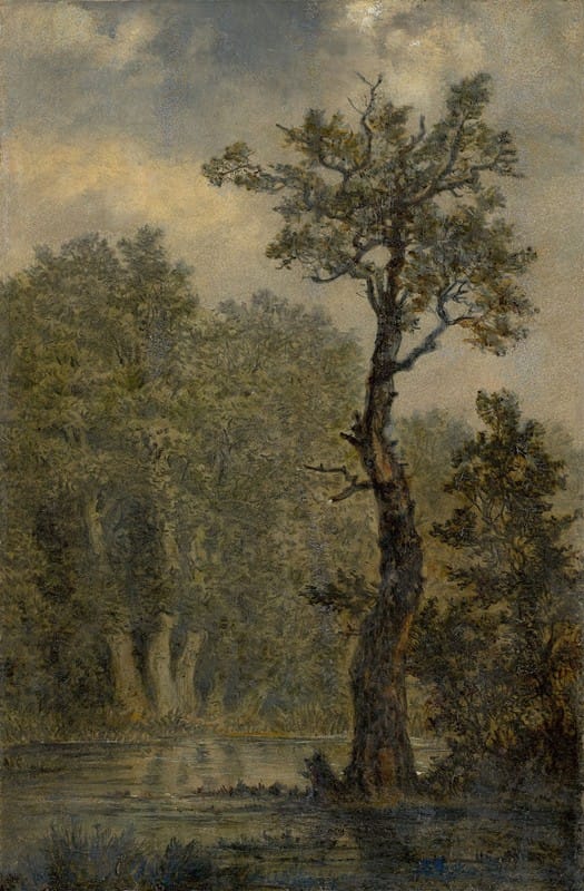 Carl Gustav Carus - Waldlandschaft (Landschaftsstudie, vermutlich das Rosental bei Leipzig)