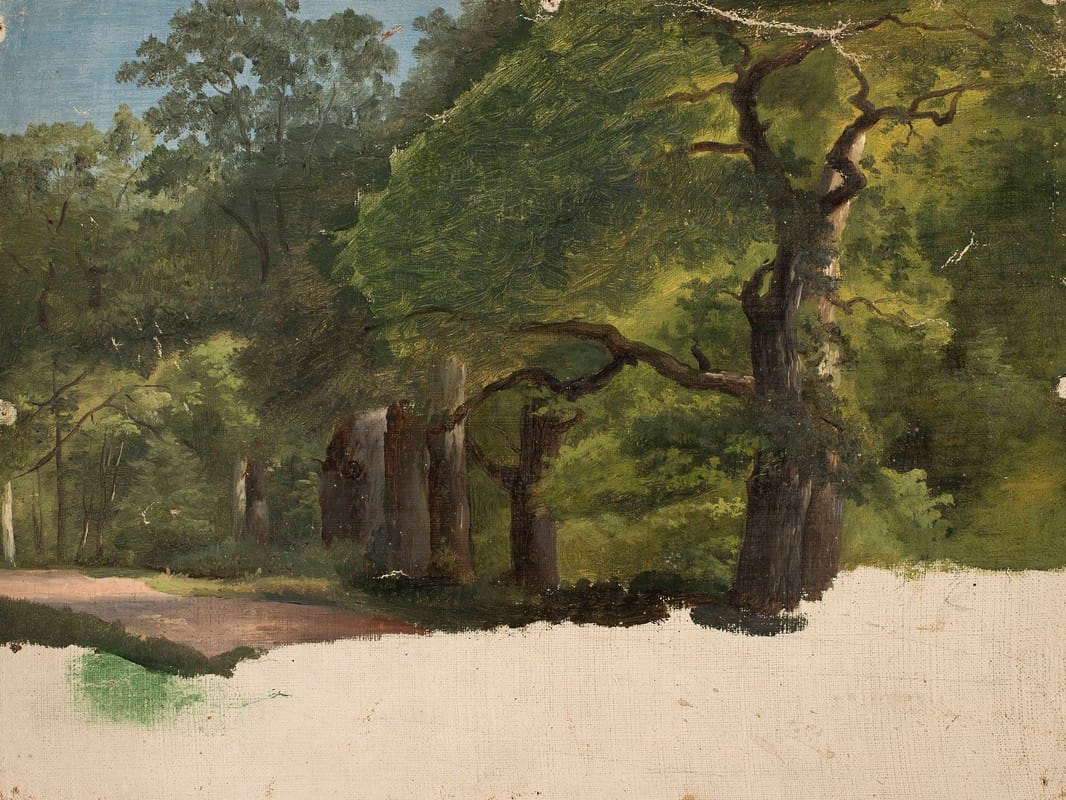 Chrystian Breslauer - Forest landscape, sketch