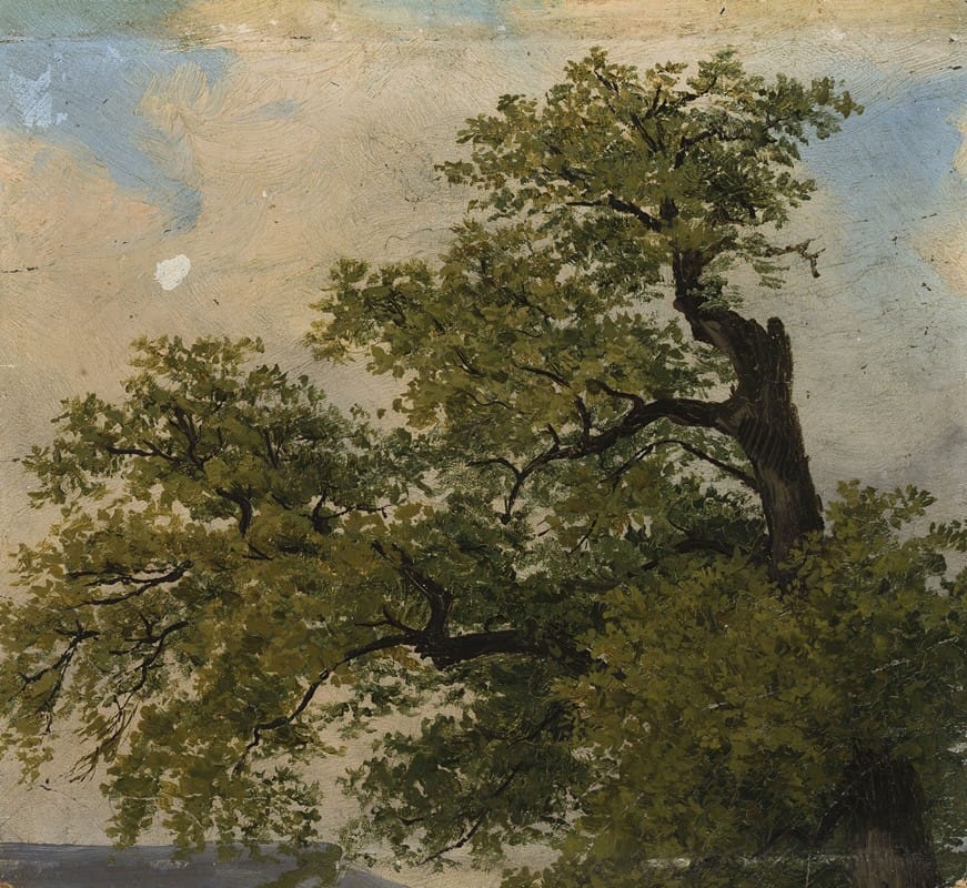 Julius Schoppe - Trees