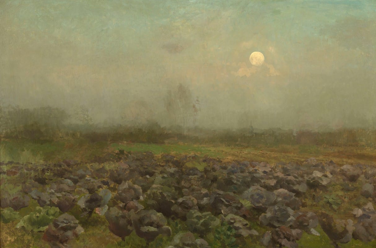 Florent Crabeels - Cabbage Field by Moonlight