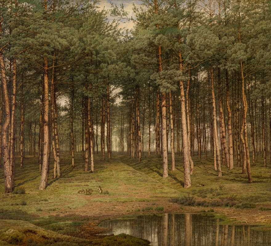 Jean Pierre François Lamorinière - Fir Wood at Putte