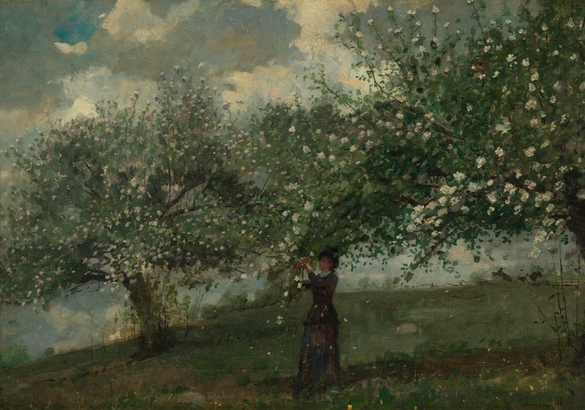 Winslow Homer - Girl Picking Apple Blossoms