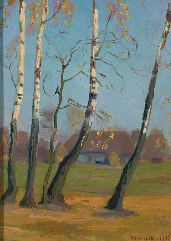 Teodor Ziomek - Birch trees near a village