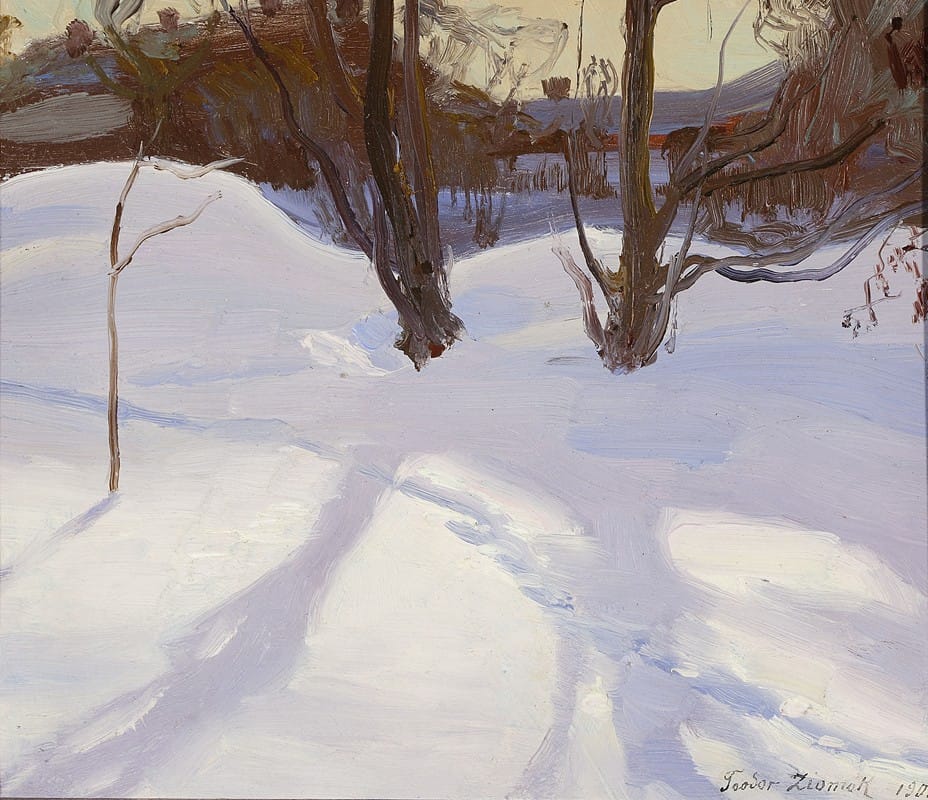 Teodor Ziomek - Winter landscape
